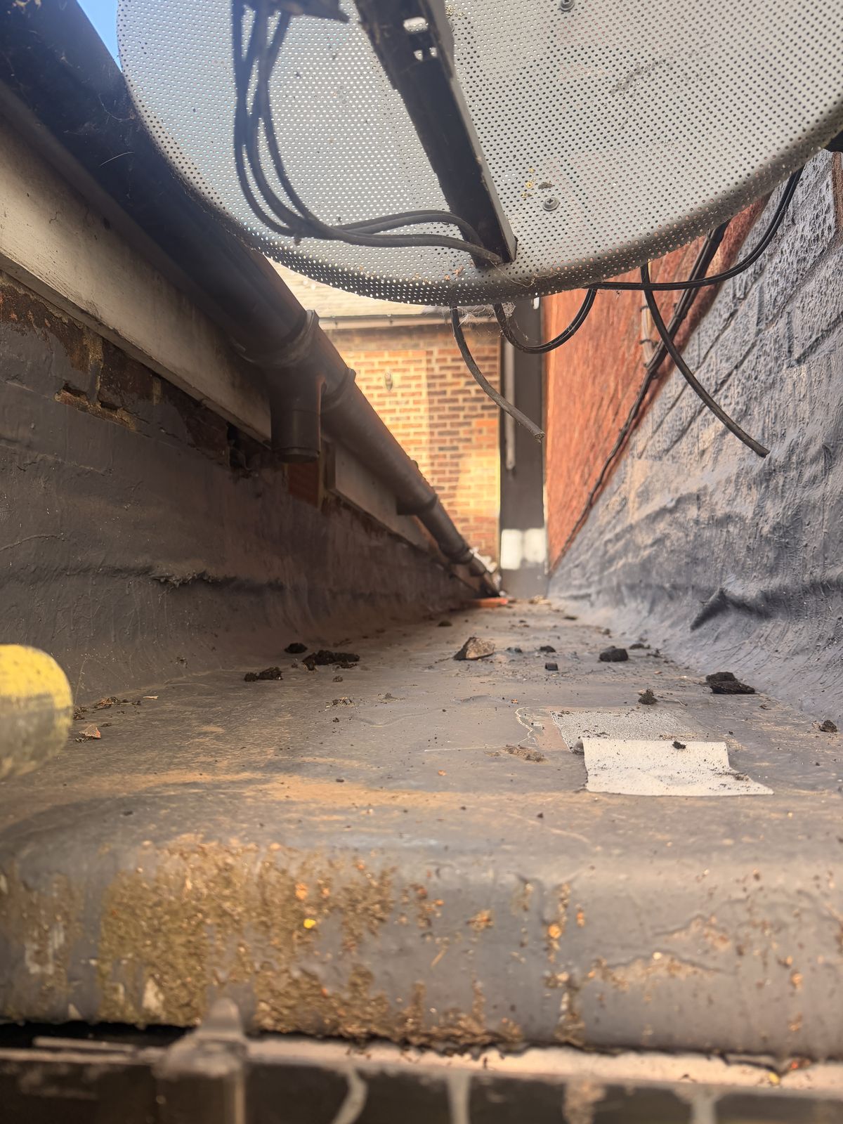 Existing box valley and rainwater goods recorded before works