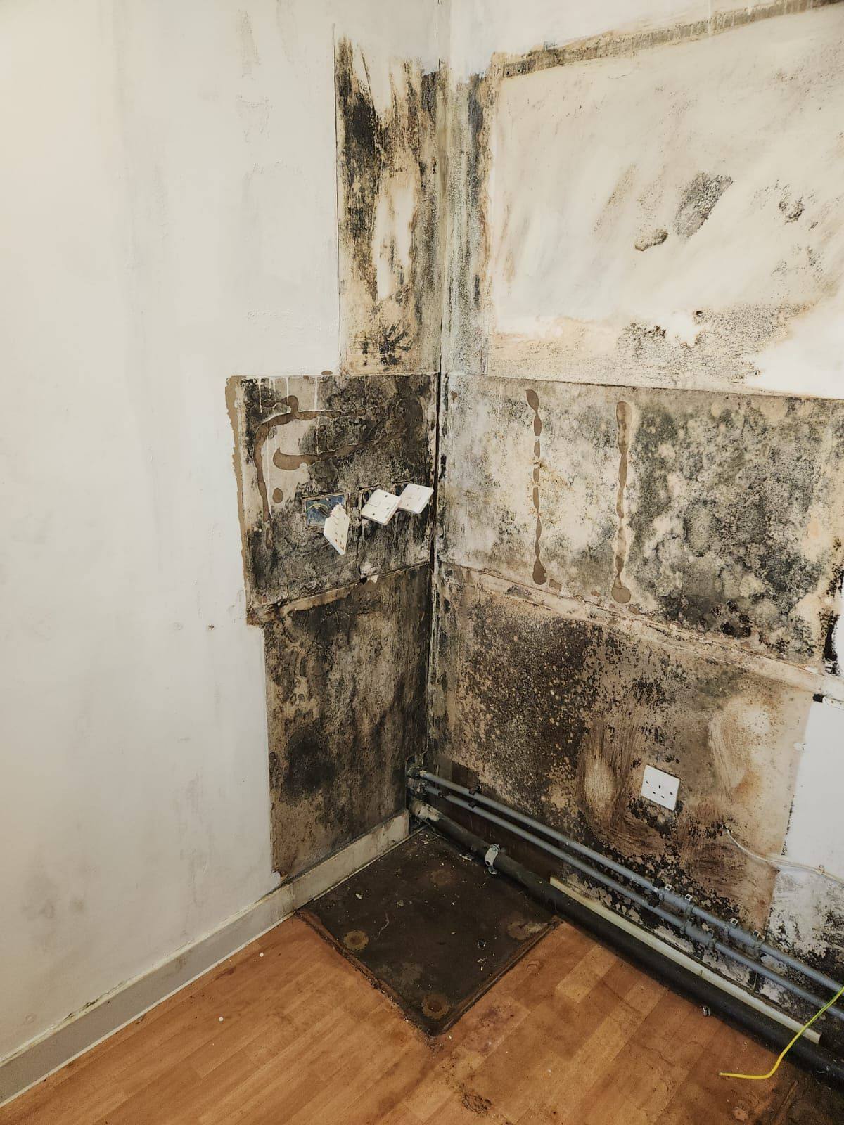 Extensive black mould growth to wall corner and behind removed lining