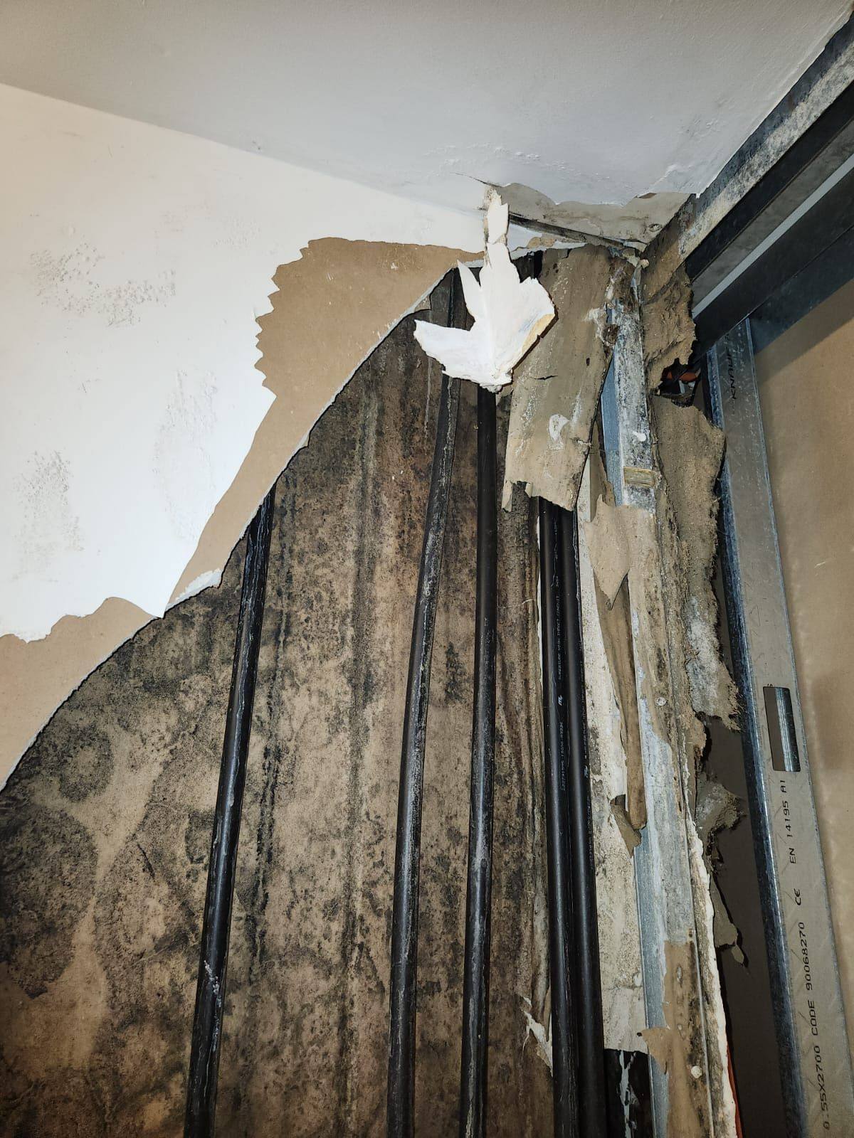 Plasterboard removed revealing mould behind the lining